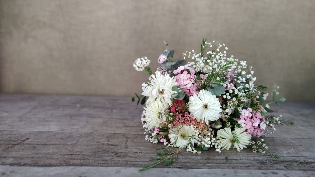 Día de la Virgen | 8 de Diciembre